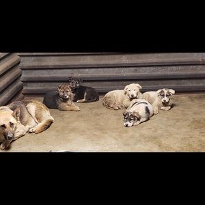 Meet your Posher, Yesenia